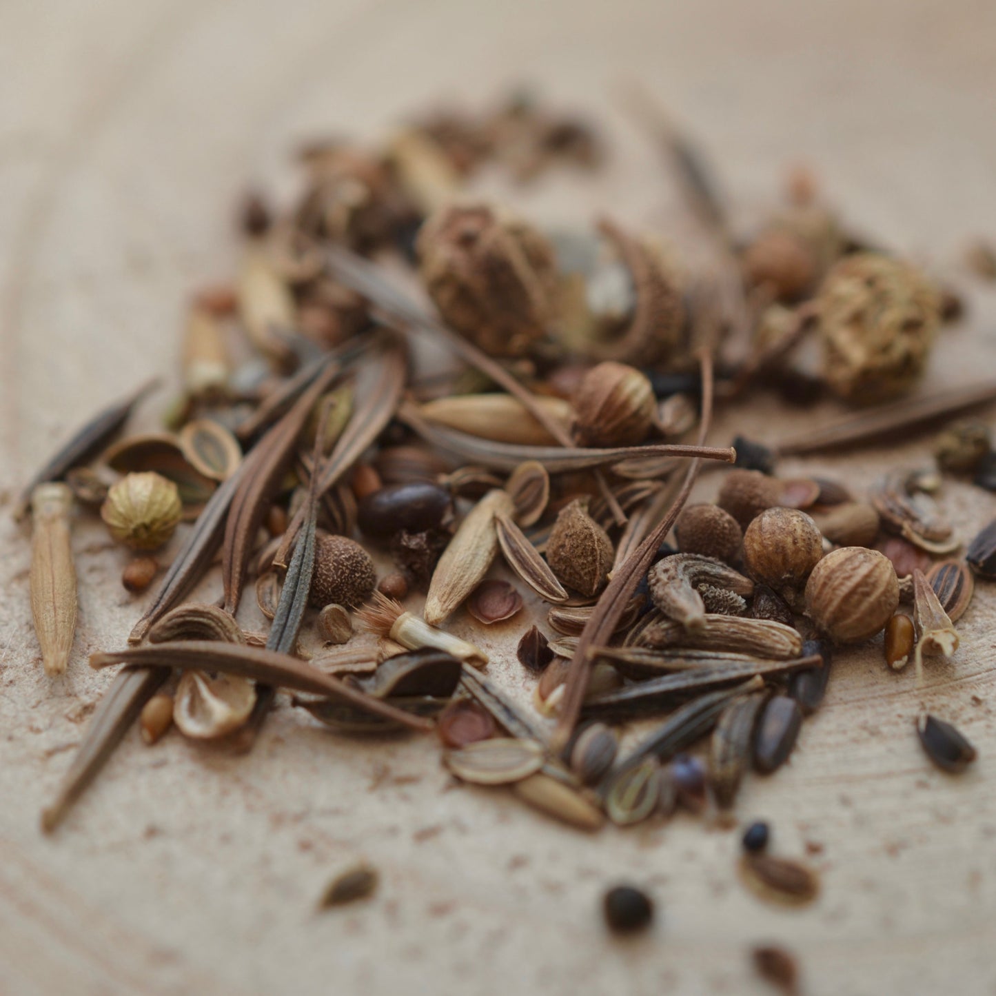 DIY Zubehör: Produkt Blumensamen - Bienenmischung - einzeln für DIY SET - 5g je Stk.